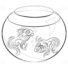 236x236 Image Result For Kingyo Goldfish Amp Other Aquatic Gems