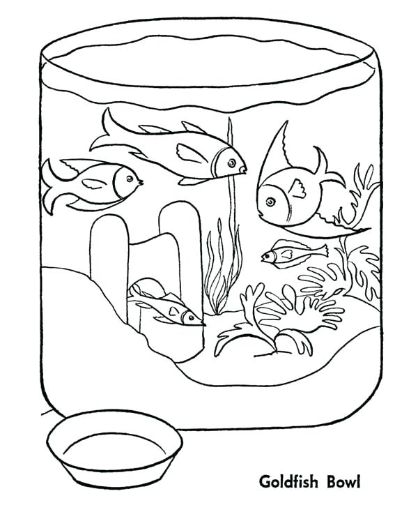 600x734 Goldfish Coloring Pages
