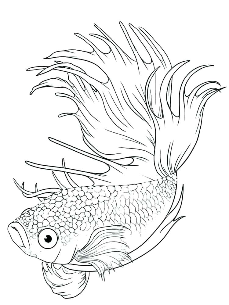 750x1000 Goldfish Coloring Pages