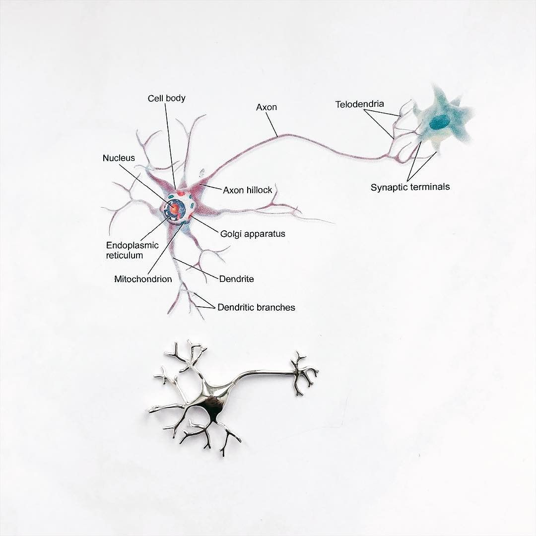 1080x1080 Our Beautiful Neuron Is Back In Stock! ) Remember You Can Still