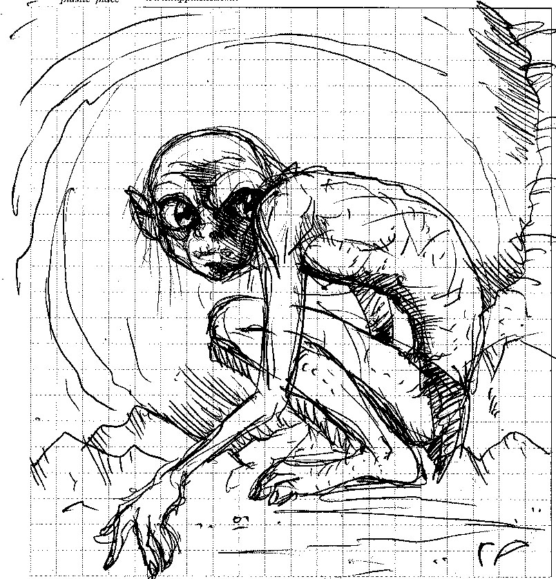 805x839 Gollum Sketch By Koku Chan