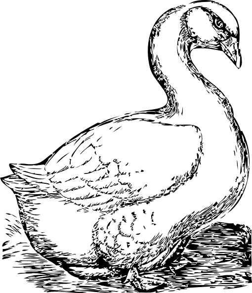 510x593 Goose Free Vector Download (67 Free Vector) For Commercial Use