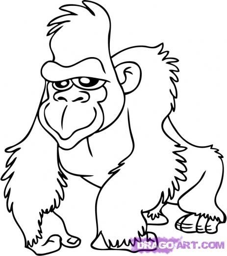 463x520 How To Draw A Gorilla Cartoon Gorilla Step 7 1 000000011488 4.jpg