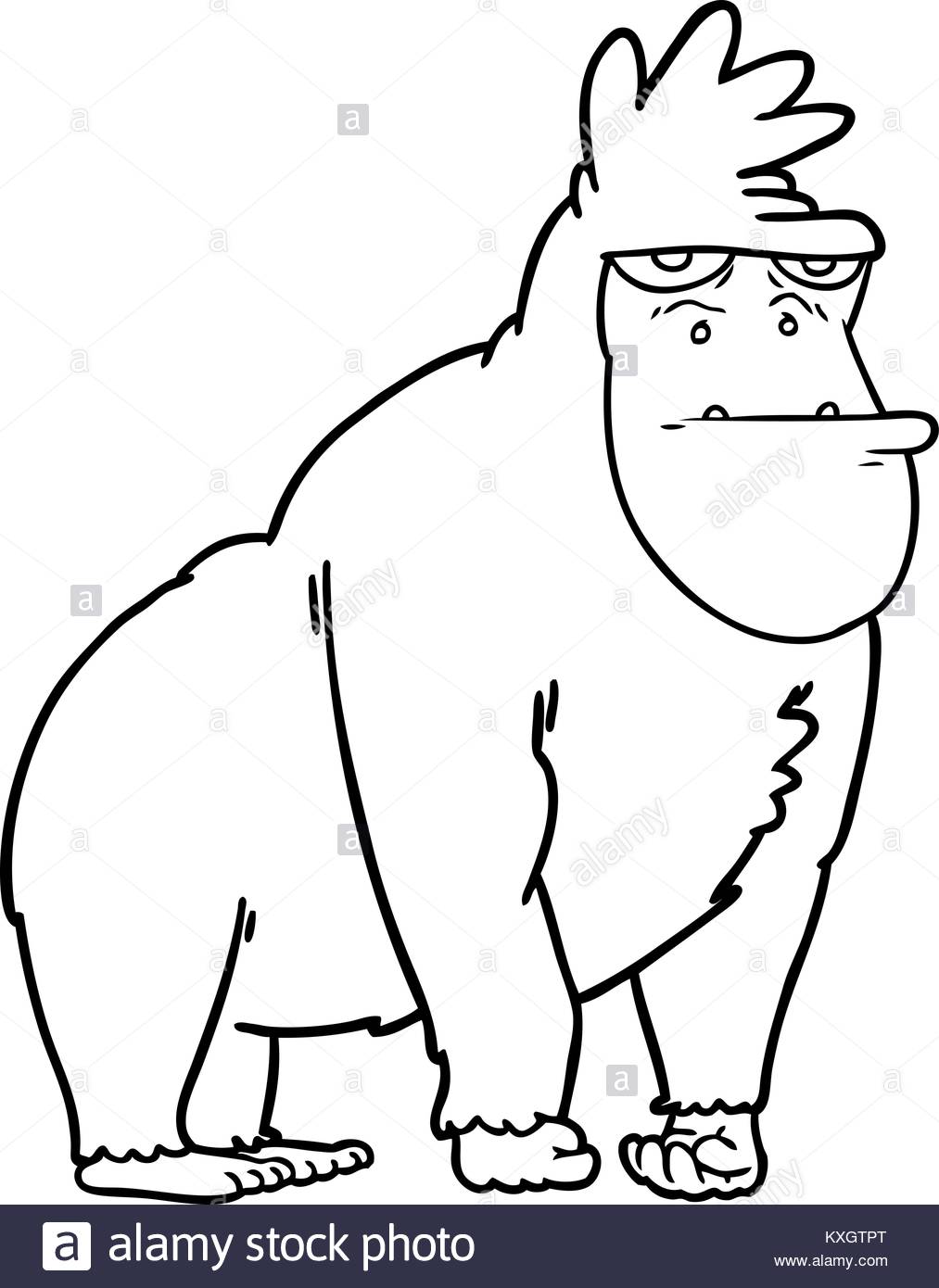 1013x1390 Gorilla Drawing Stock Photos Amp Gorilla Drawing Stock Images