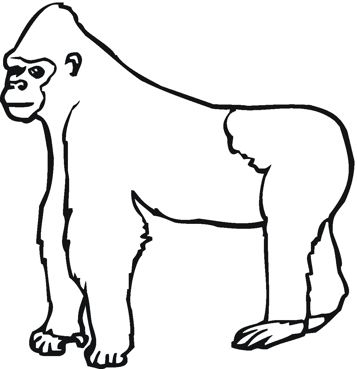 1162x1200 Free Animals Gorilla Printable Colouring Pages For Preschool