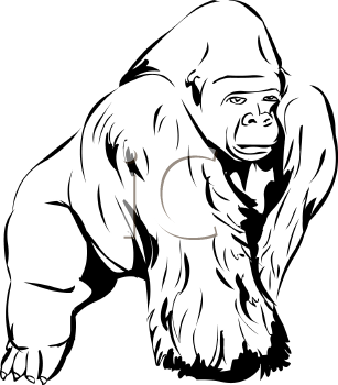 307x350 Top 94 Gorilla Clipart