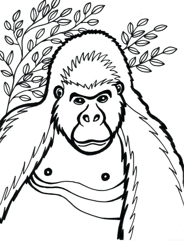 640x837 Top Rated Gorilla Coloring Pages Pictures Cartoon Snowflake
