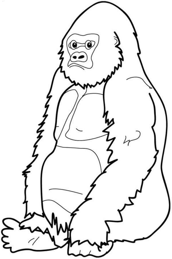 600x904 Gorilla Coloring Page Coloring Pages For Free Craft
