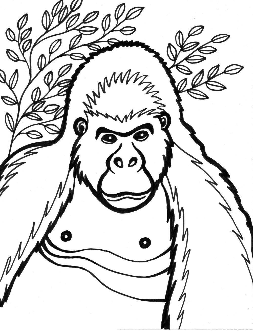 1000x1308 Inspiring Gorilla Coloring Pages For Kids Book