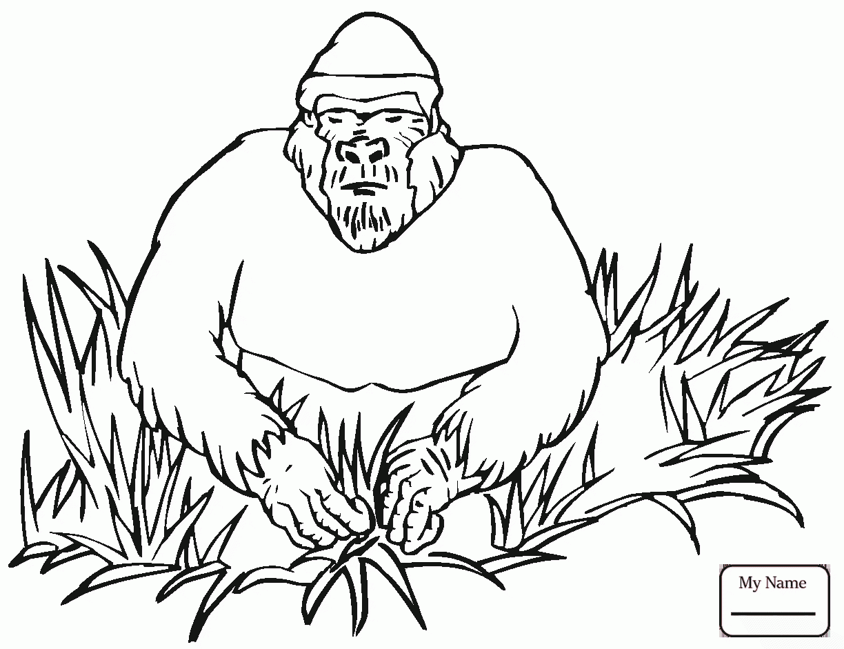 1224x941 Coloring Pages For Kids Gorilla 15 Mammals