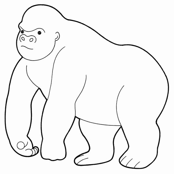 600x598 Free Printable Gorilla Coloring Pages Coloring Page