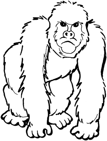 366x480 Gorilla 2 Coloring Page Free Printable Coloring Pages