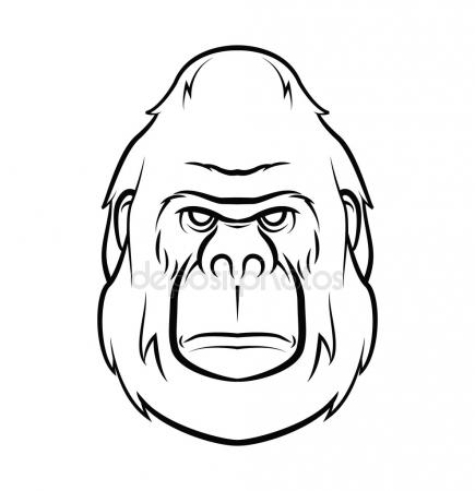 435x450 Gorilla Face Stock Vectors, Royalty Free Gorilla Face