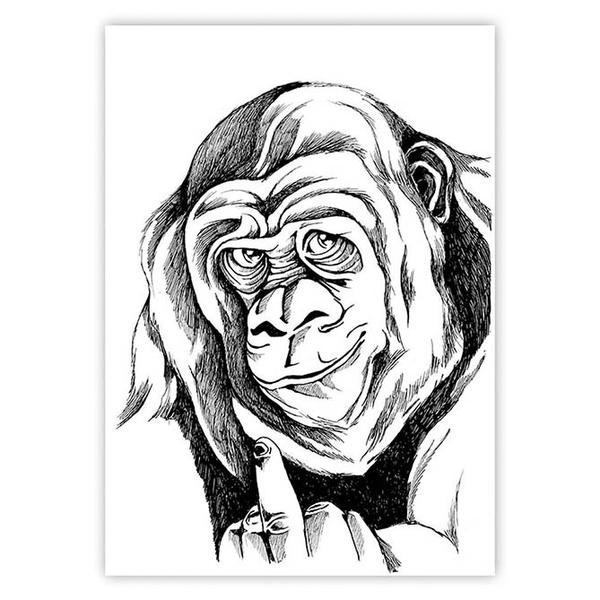 600x600 Gorilla Stine Hvid Illustrations