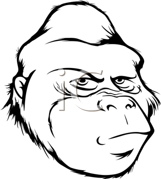 Gorilla Face Drawing at GetDrawings | Free download