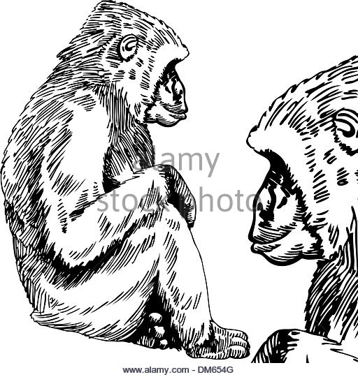 512x540 Gorilla Hand Stock Vector Images