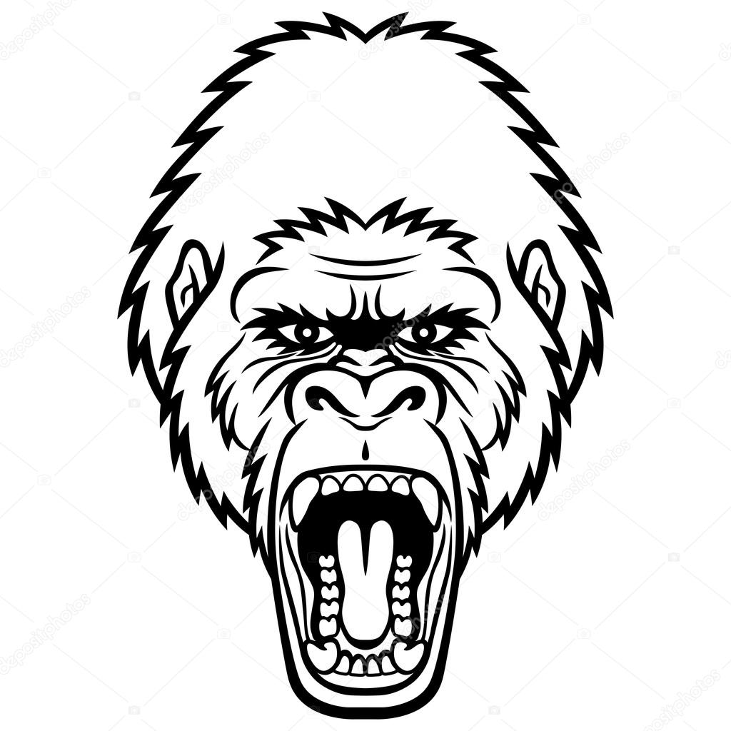 1024x1024 Gorilla Stock Vector Komissar008
