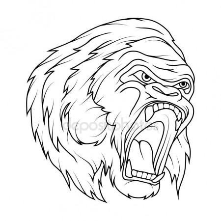 450x450 Line Art Gorilla Head Logo Stock Vector Korniakovstock@gmail