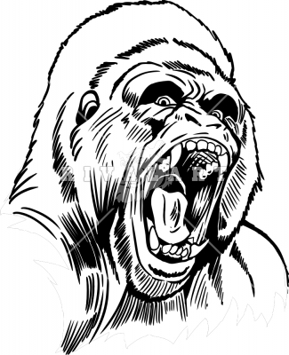 325x400 Gorilla Head