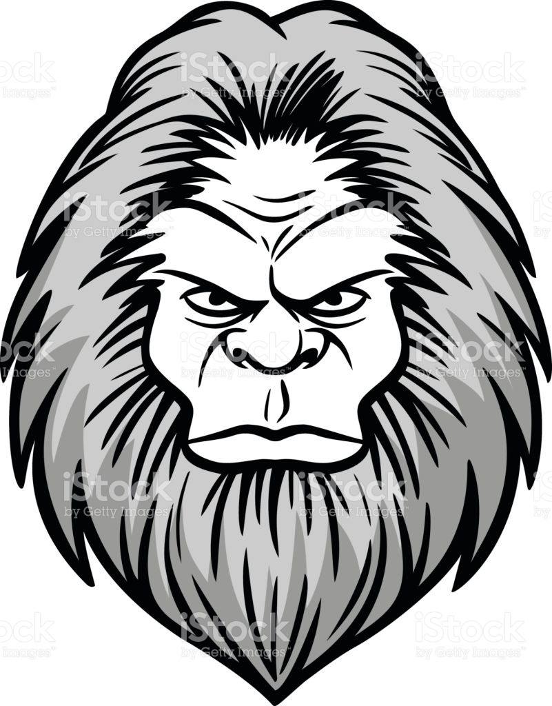 801x1024 Bigfoot Clipart Head