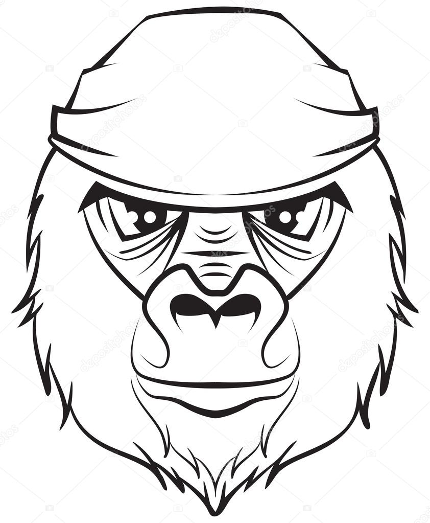 842x1023 Gorilla Head. Black And White Drawing Stock Vector Orensila