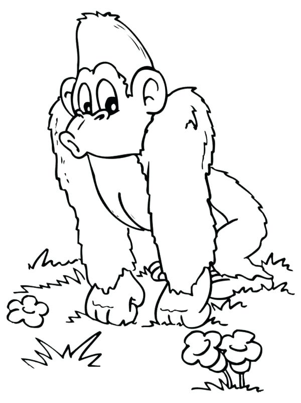 600x803 Top Rated Gorilla Coloring Pages Pictures Awesome Gorilla Coloring