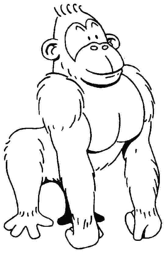 541x830 Coloring Page Gorilla Animals Printable Pages Drawing