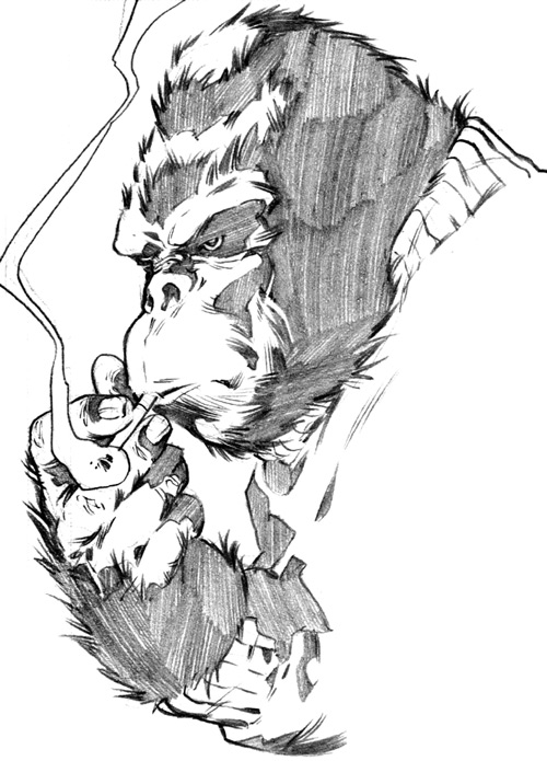 500x695 Gorilla Atlas Gorilla Man