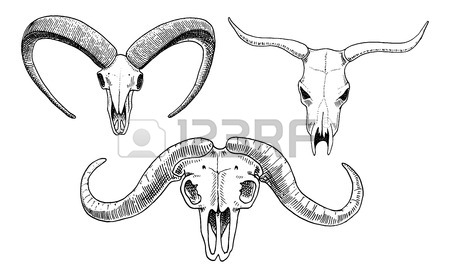 450x277 Biology Or Anatomy Illustration. Engraved Hand Drawn In Old Sketch