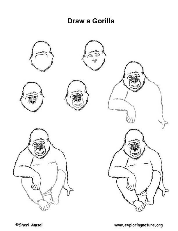 612x792 Drawing Lesson