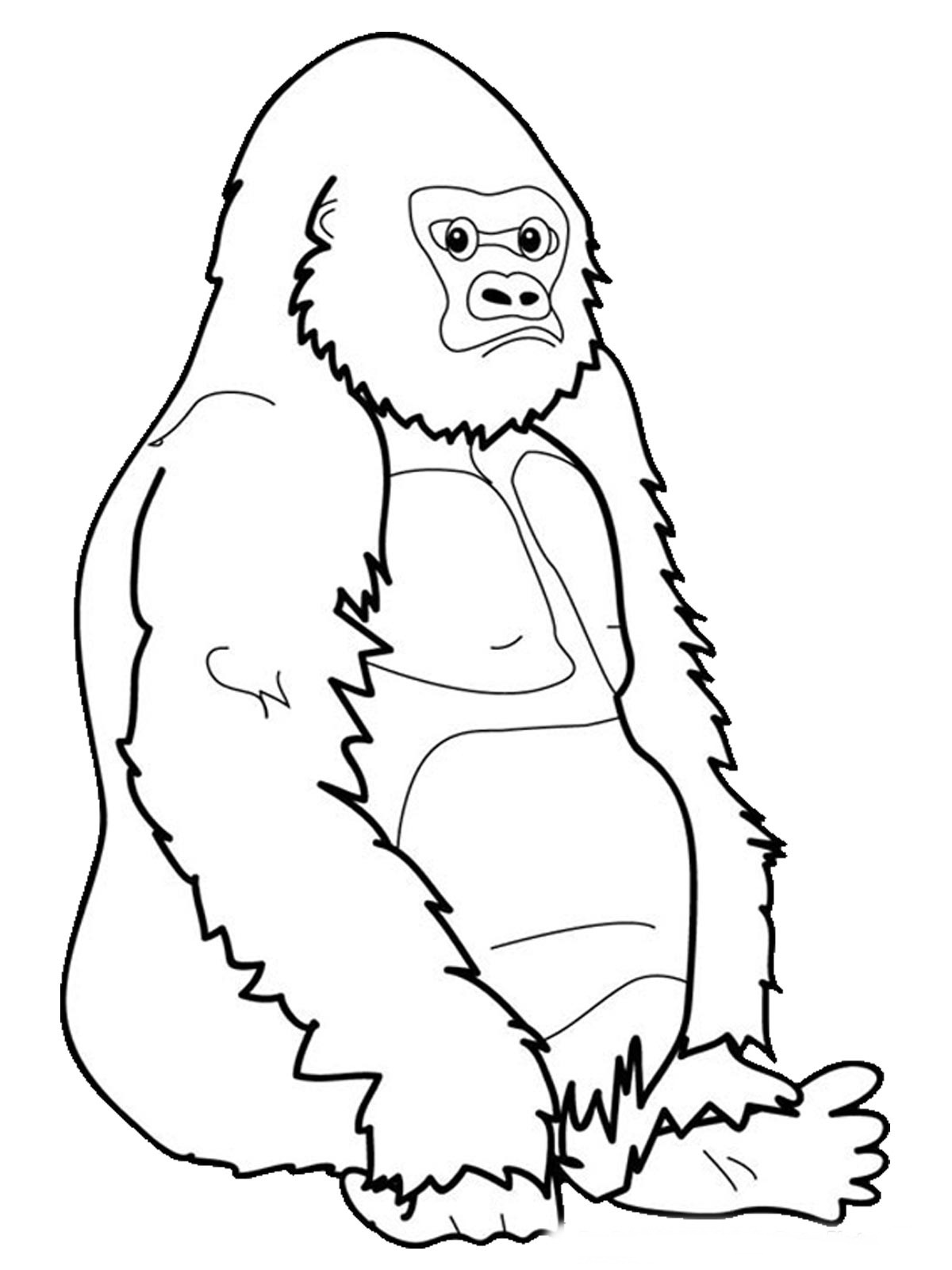 1200x1600 Ape Coloring Pages