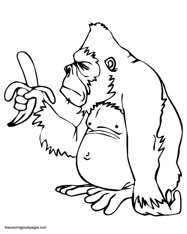 640x800 Monkey Coloring Book Page Az Coloring Pages Gorilla Coloring Pages