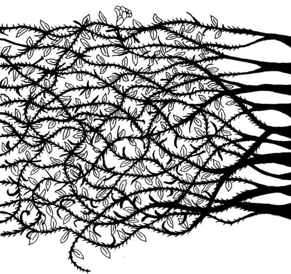 597x563 Gothic Thorn Vines By Juliannehannes