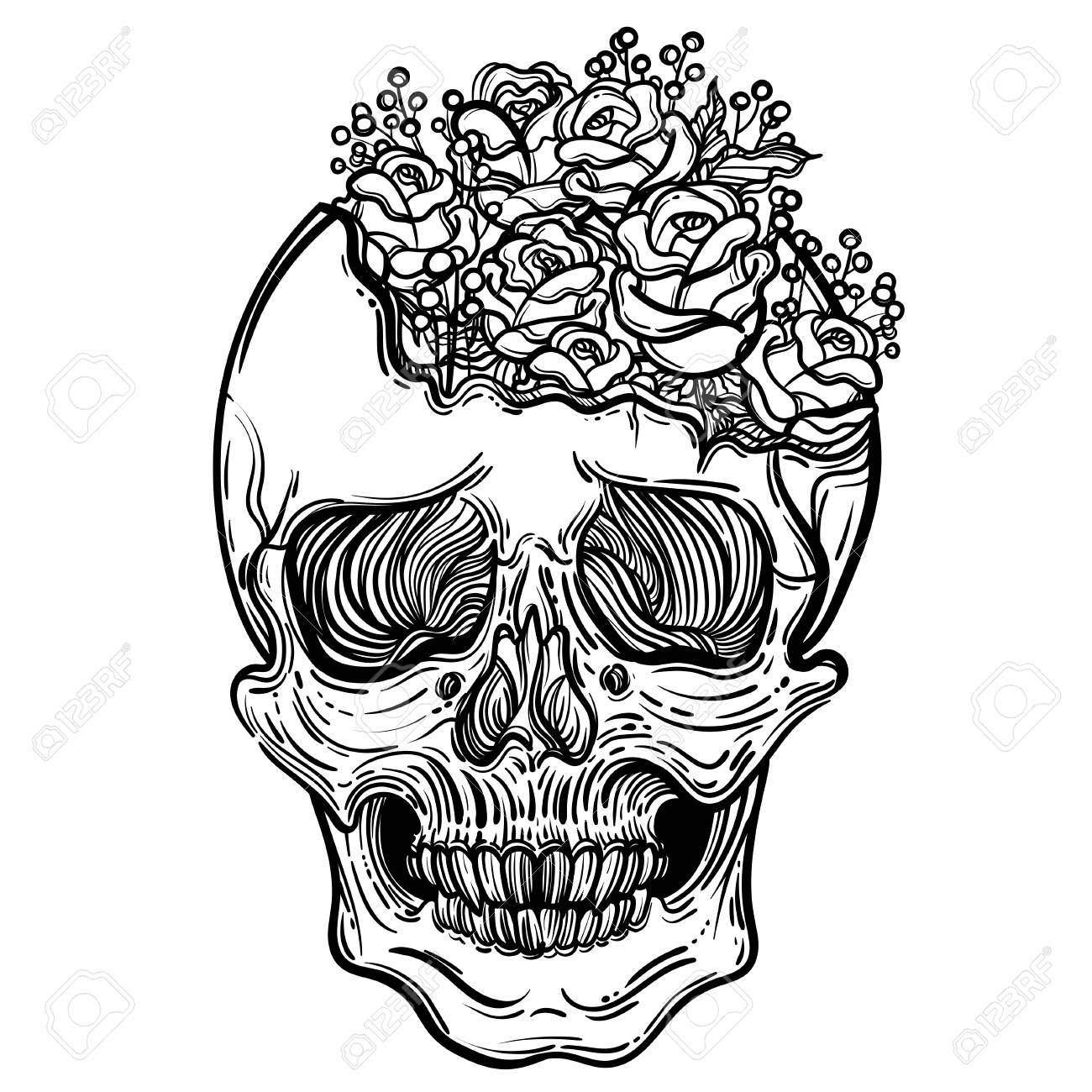 1300x1300 Vector Illustration With A Human Skull And Beautiful Roses. Gothic