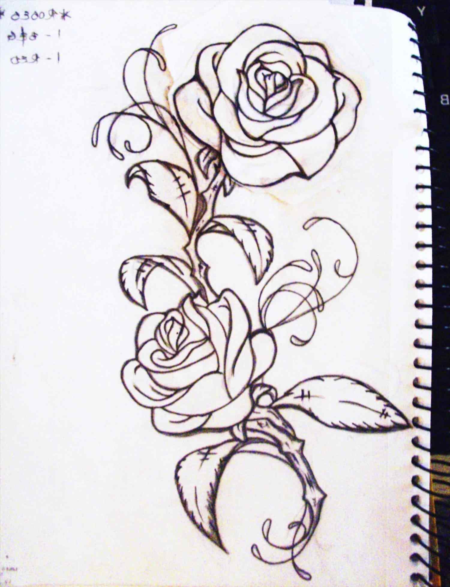 1500x1957 Drawings Of Roses And Vines Your Meme Source