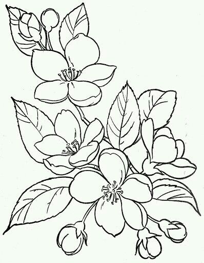 398x512 Pin By Julia Maria On Aprefiendo Silk Painting