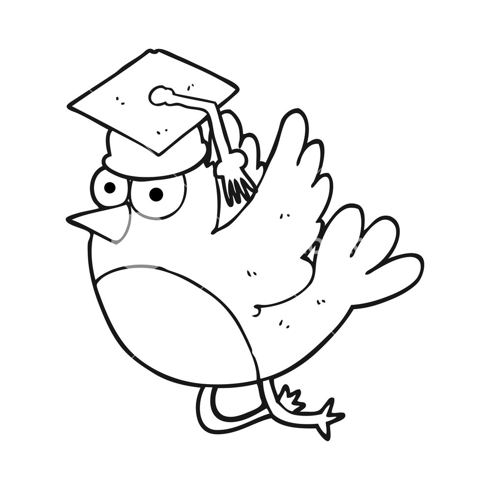 1000x1000 Freehand Drawn Black And White Cartoon Bird Wearing Graduation Cap