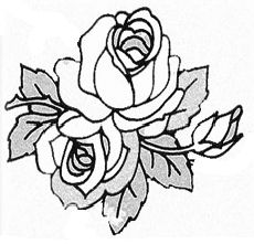 230x221 Easy Charcoal Drawings Flowers