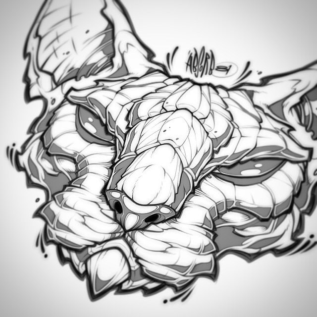 640x640 Absorb81 Sphynx Cat Sketch.