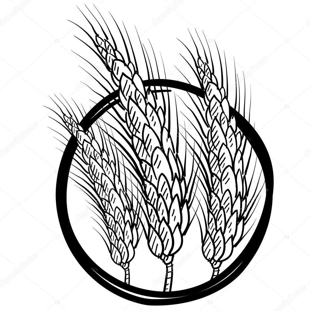 1024x1024 Grain Or Wheat Vector Emblem Stock Vector Lhfgraphics