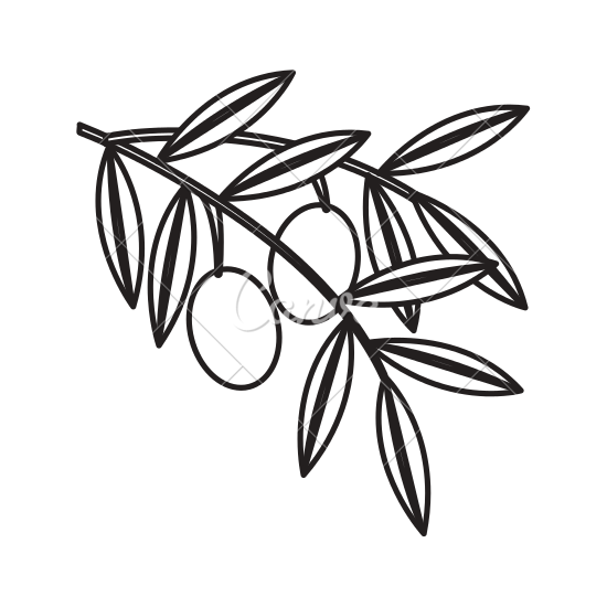 550x550 Olive Grain Isolated Icon