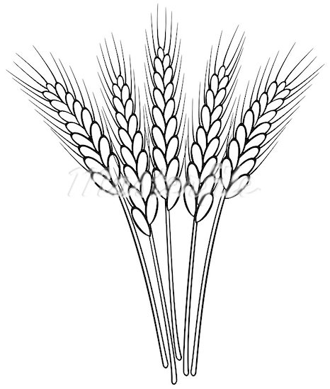 466x550 Wheat Grain Clipart Clipart Panda