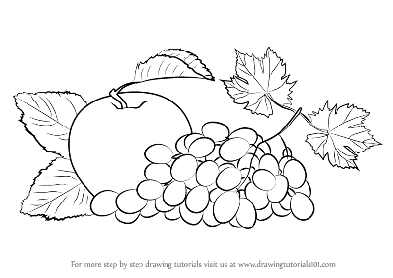 800x567 Learn How To Draw Grapes And Apple (Fruits) Step By Step Drawing