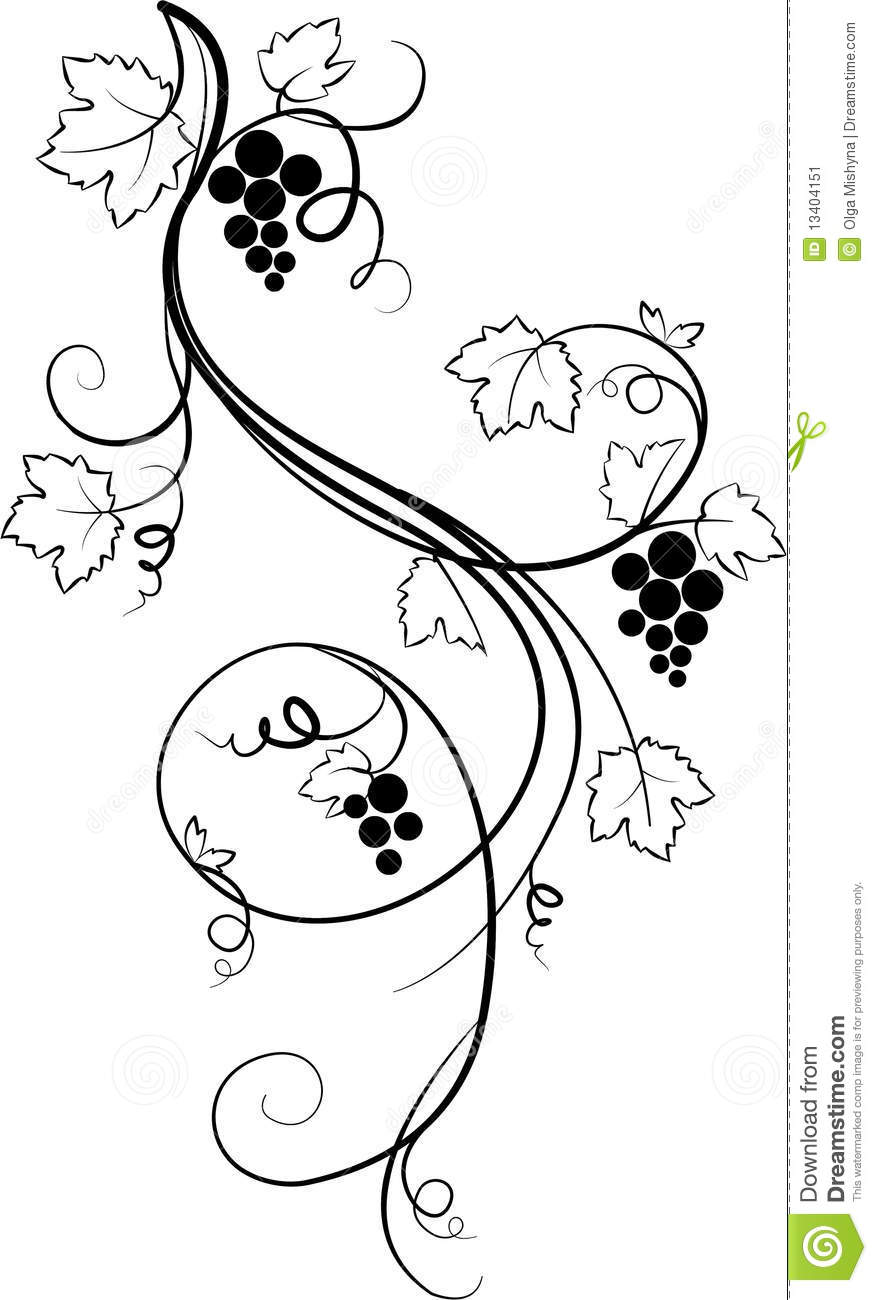 877x1300 Grape Vines Drawing