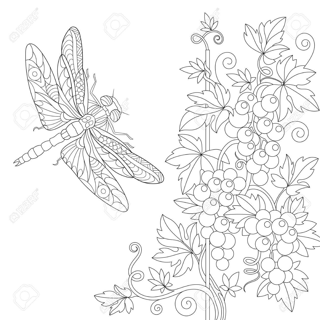 1300x1300 Coloring Page Of Dragonfly And Grape Vine. Freehand Sketch Drawing