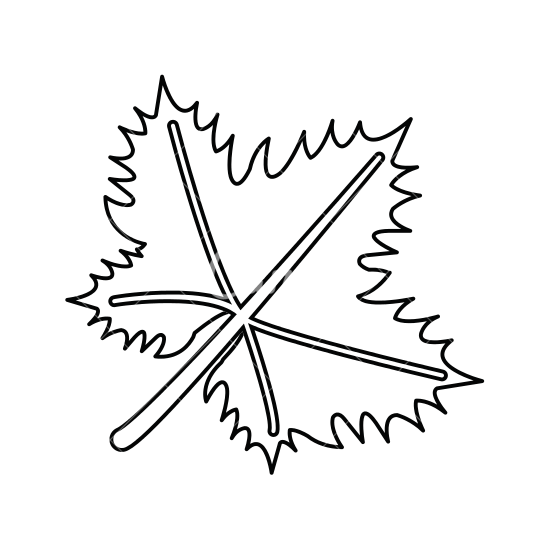 550x550 Grape Leaf Outline