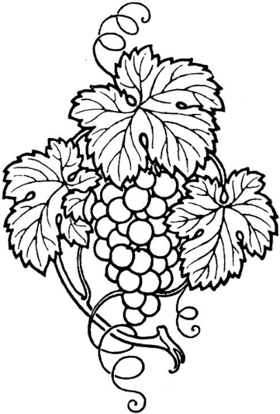 406x600 Grapes With Leaves Gardening Leaves, Wood Burning