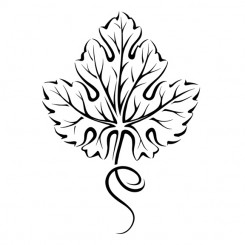 245x245 Line Art Graphic Image Grape Leaf