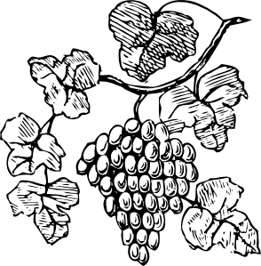 294x299 Drawn Grapes Art