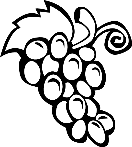 540x599 Grape Vine Clip Art